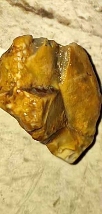 Solved « 7+-+inheritance+ .pptx A 25°C Sunny If you ask your | Chegg.com