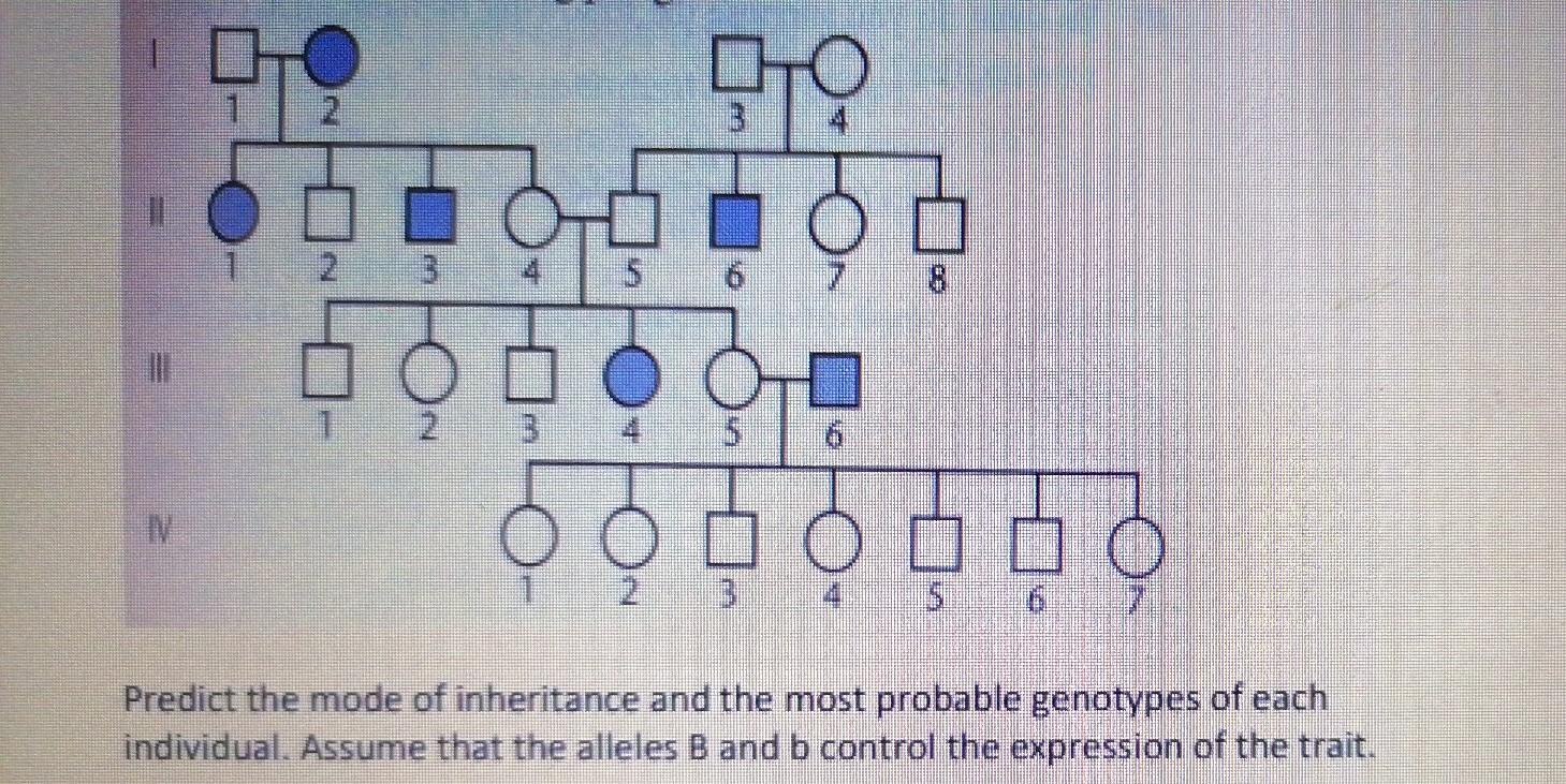 Solved T TO 이 ooooo Predict the mode of inheritance and the | Chegg.com