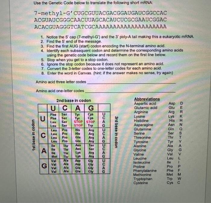 Solved Use the Genetic Code below to translate the following | Chegg.com