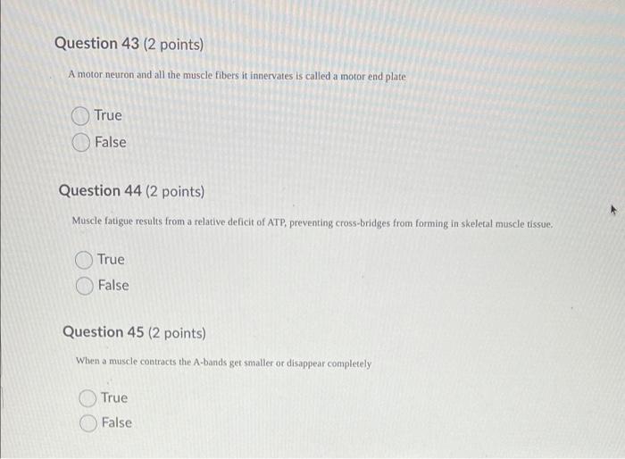 Solved Question 43 (2 points) A motor neuron and all the | Chegg.com