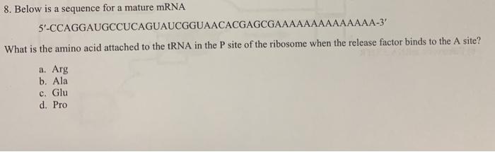Solved 8. Below is a sequence for a mature mRNA | Chegg.com
