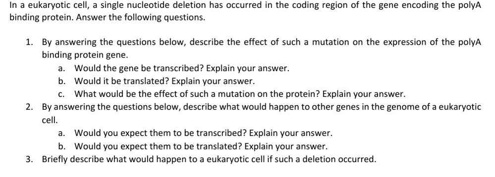 Solved In a eukaryotic cell, a single nucleotide deletion | Chegg.com