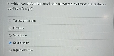 In which condition is scrotal pain alleviated by | Chegg.com