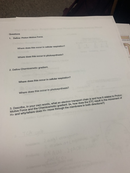 Solved Questions 1. Define: Proton Motive Force Where does | Chegg.com