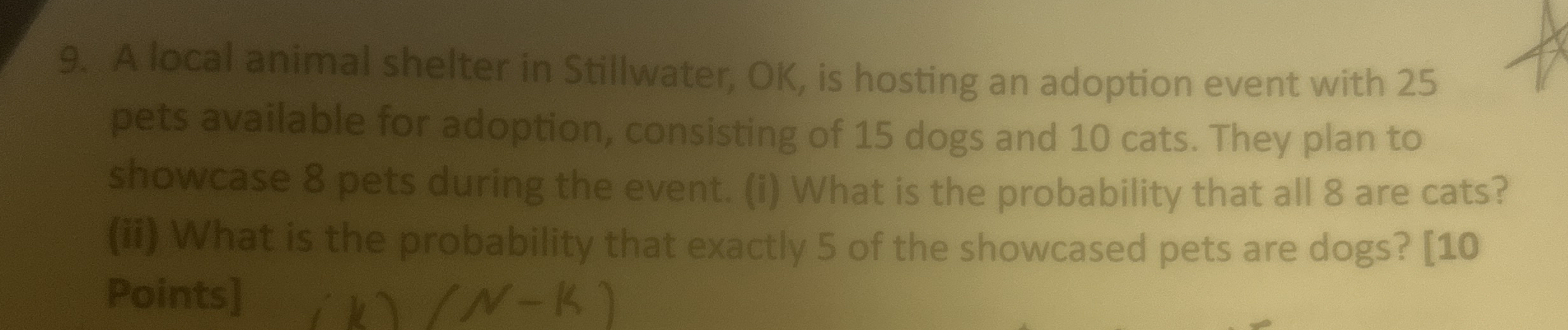 Solved A local animal shelter in Stillwater, OK, ﻿is hosting