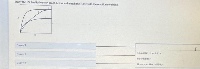 Solved Study the Michaelis-Menten graph below and match the | Chegg.com