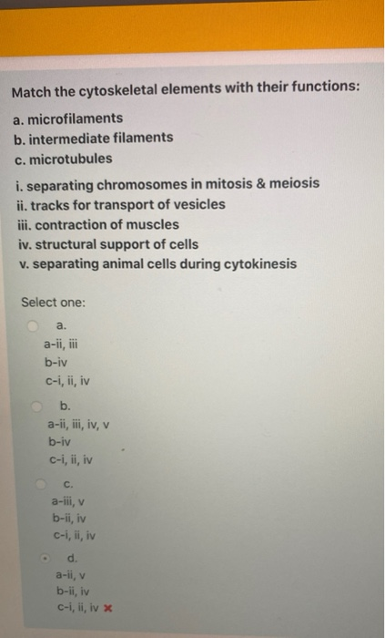 Solved Match The Cytoskeletal Elements With Their Functions: | Chegg.com