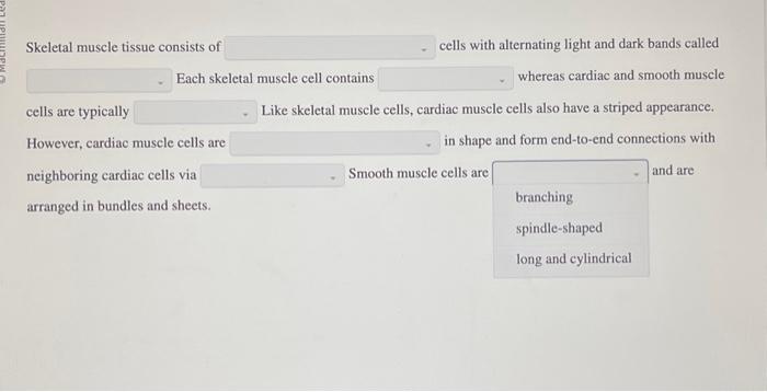 Solved Skeletal muscle tissue consists of cells with | Chegg.com