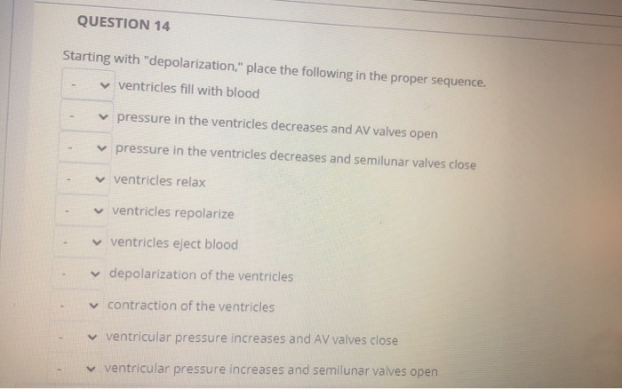 Solved QUESTION 12 Which of the following affects flow | Chegg.com