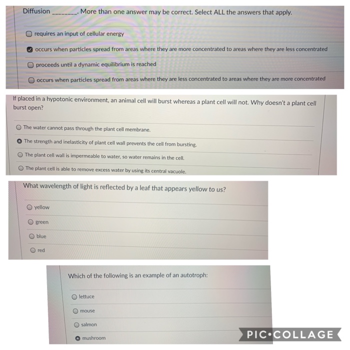 Solved Diffusion         More Than One Answer May Be 