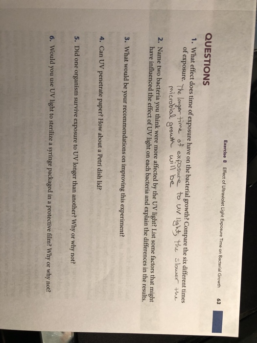 Exercise Effect Of Ultraviolet Light Exposure Ti Chegg Com