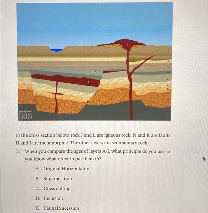 Solved In the image below, what does the contact between the | Chegg.com