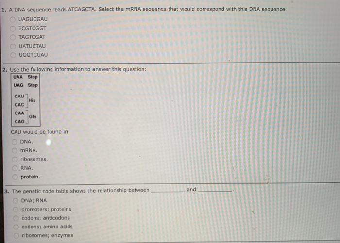 Solved 1. A DNA sequence reads ATCAGCTA. Select the mRNA | Chegg.com