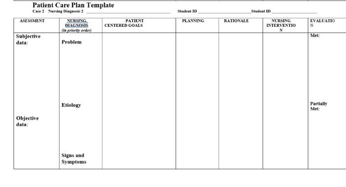 Student ID Student ID PLANNING RATIONALE Patient Care Plan Template Case 2 Nursing Diagnosis ASESSMENT NIRSING PATIENT DIAGNO