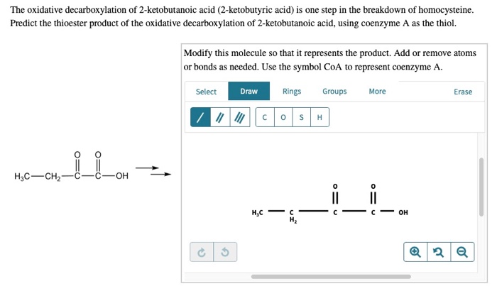 Solved The Oxidative Decarboxylation Of 2 Ketobutanoic Ac Chegg Com