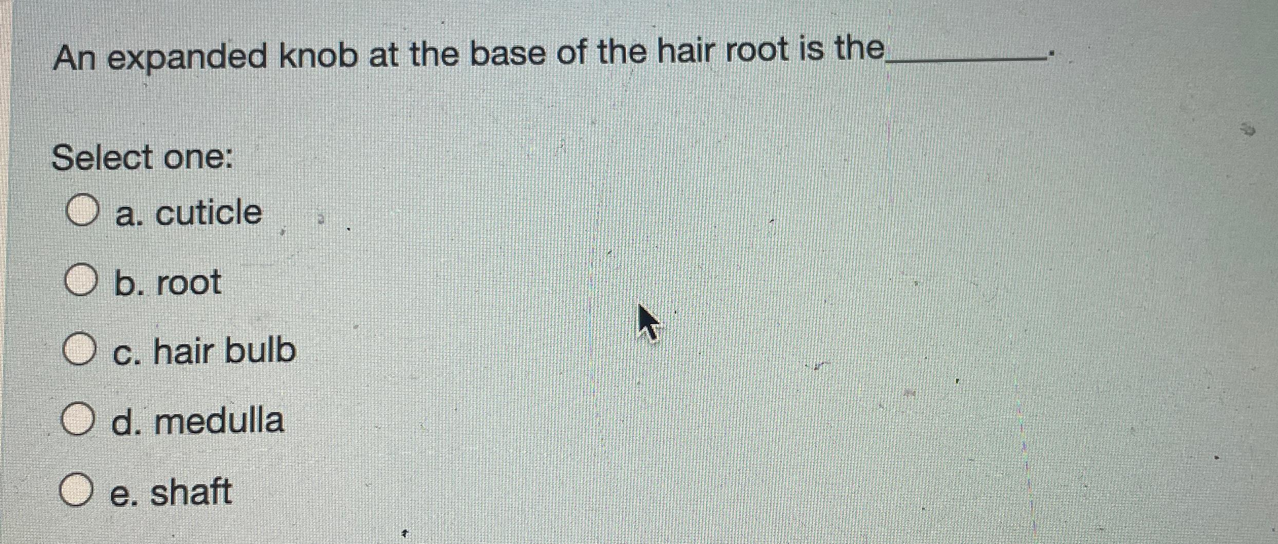 Solved An expanded knob at the base of the hair root is