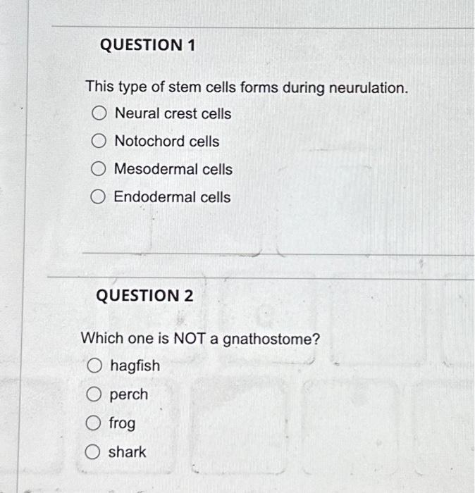 Solved QUESTION 1 This type of stem cells forms during | Chegg.com