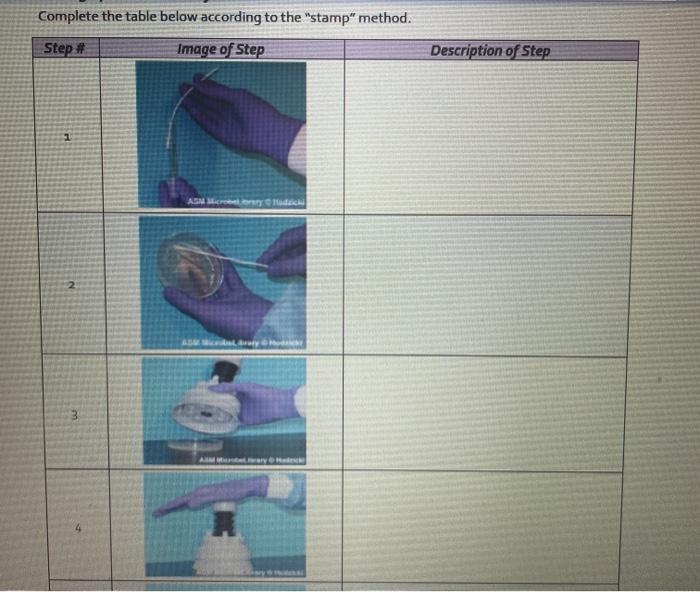Solved Complete the table below according to the 