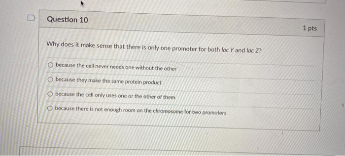 solved-question-8-1-pts-in-an-operon-where-is-the-operator-chegg