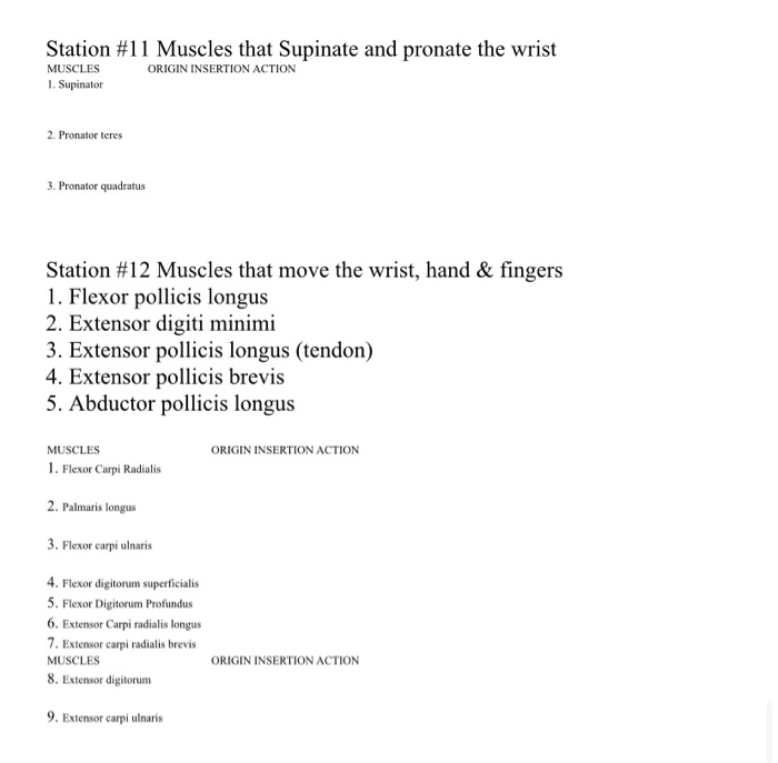 pronator quadratus origin and insertion