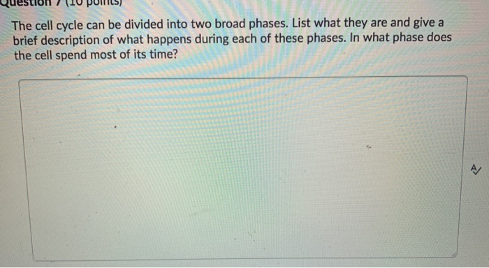 Solved Question (10 points) The cell cycle can be divided | Chegg.com