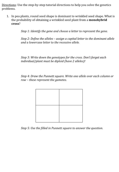 Solved Directions: Use the step-by-step tutorial directions | Chegg.com