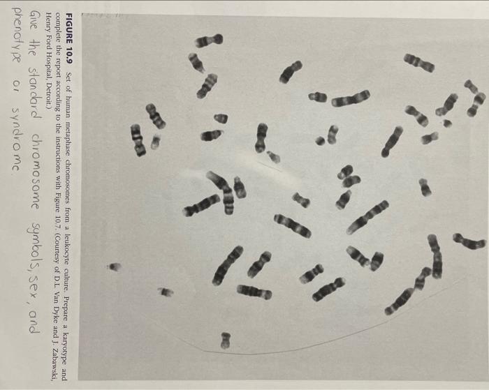 Solved prepare the karyotype of figure 10.9.and give the | Chegg.com