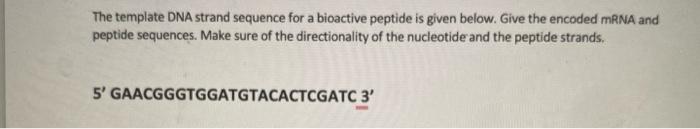 The template DNA strand sequence for a bioactive peptide is given below. Give the encoded mRNA and peptide sequences. Make su