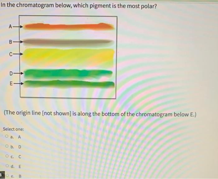 Decipher Your Chromatogram Pigment Matching Simplified - kfld8kr