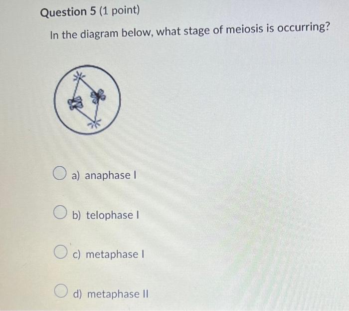 Solved In the diagram below, what stage of meiosis is | Chegg.com
