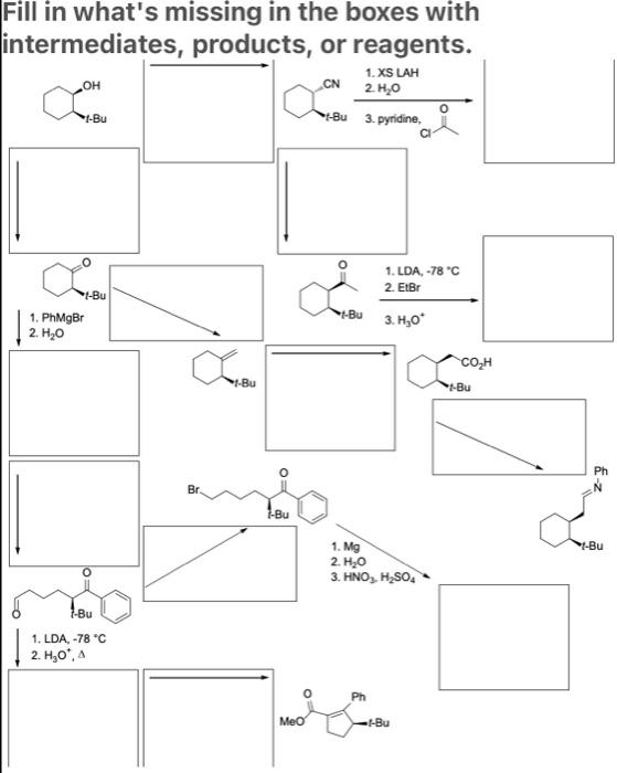 Solved Fill in what's missing in the boxes with | Chegg.com