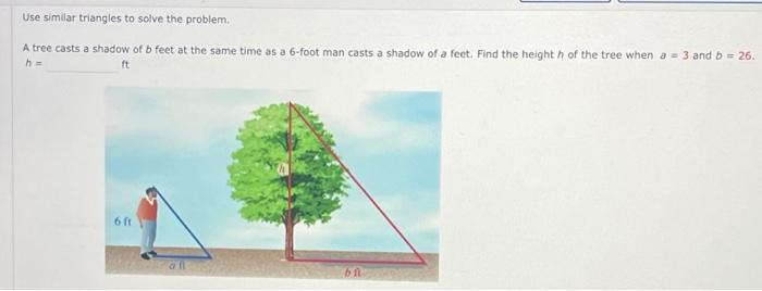 Solved Use similar triangles to solve the problem. A tree | Chegg.com