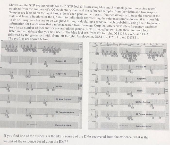 Shown are the STR typing results for the 6 STR loci | Chegg.com