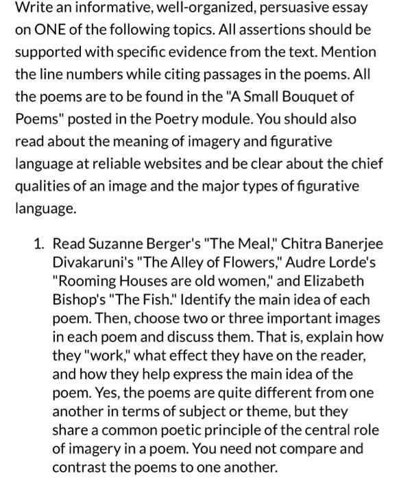 Write an informative, well-organized, persuasive | Chegg.com