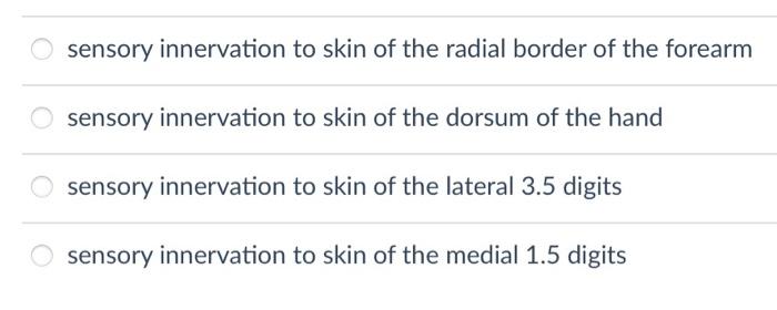 sensory innervation to skin of the radial border of the forearm
sensory innervation to skin of the dorsum of the hand
sensory