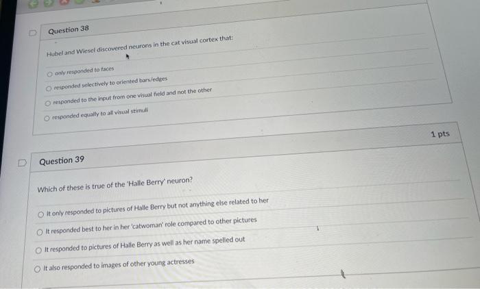 Solved Question 38 Hubel and Wiesel discovered neurons in | Chegg.com