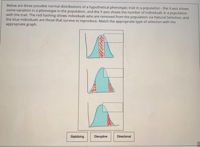 Solved Below are three possible normal distributions of a | Chegg.com