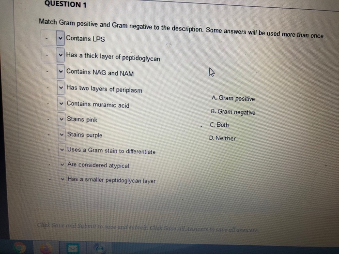 Solved QUESTION 1 Match Gram positive and Gram negative to | Chegg.com