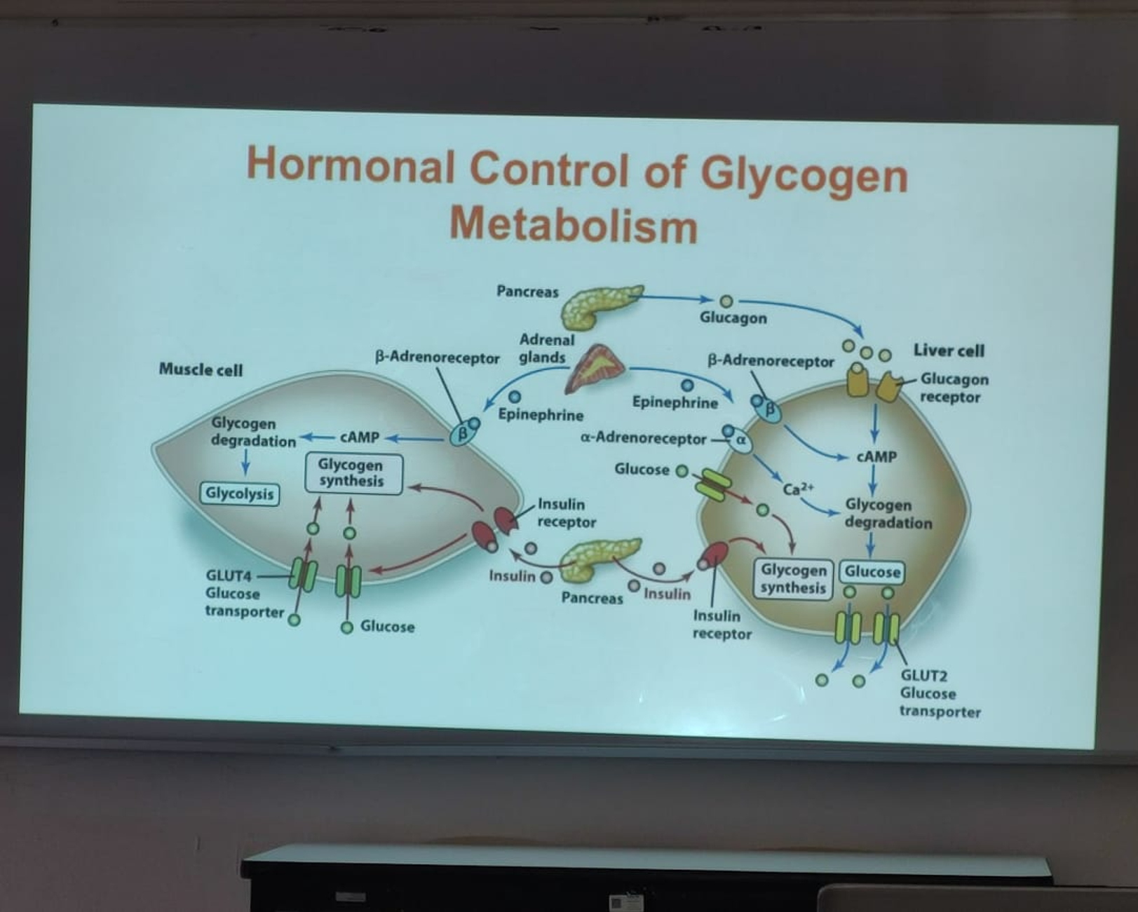 student submitted image, transcription available