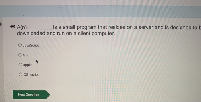 Solved 39) Client-side programs run on a web server rather | Chegg.com