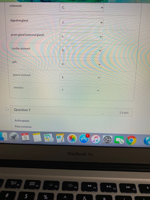 Solved i need the best answer for question 6 and 9 to | Chegg.com