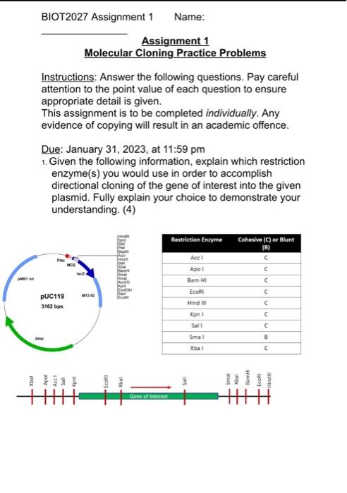 Solved Molecular Cloning Practice Problems Instructions: | Chegg.com