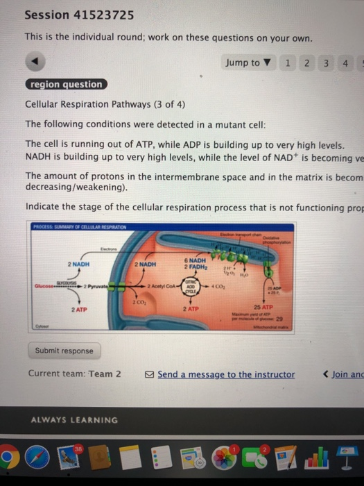 Solved Cellular Respiration Pathways (4 of 4) The following | Chegg.com