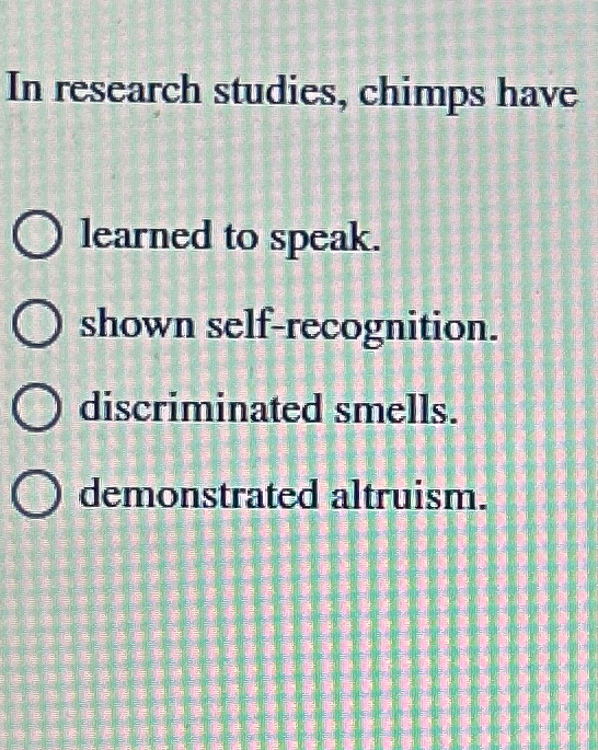 in research studies chimps have quizlet