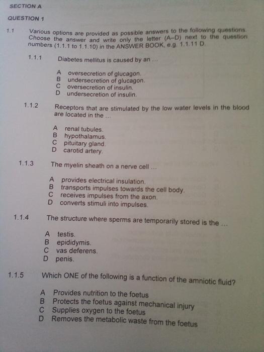 Solved SECTION A QUESTION 1 Various options are provided as | Chegg.com