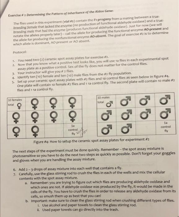 Solved Exercise \# 2 Determining The Pattern Of Inheritance | Chegg.com