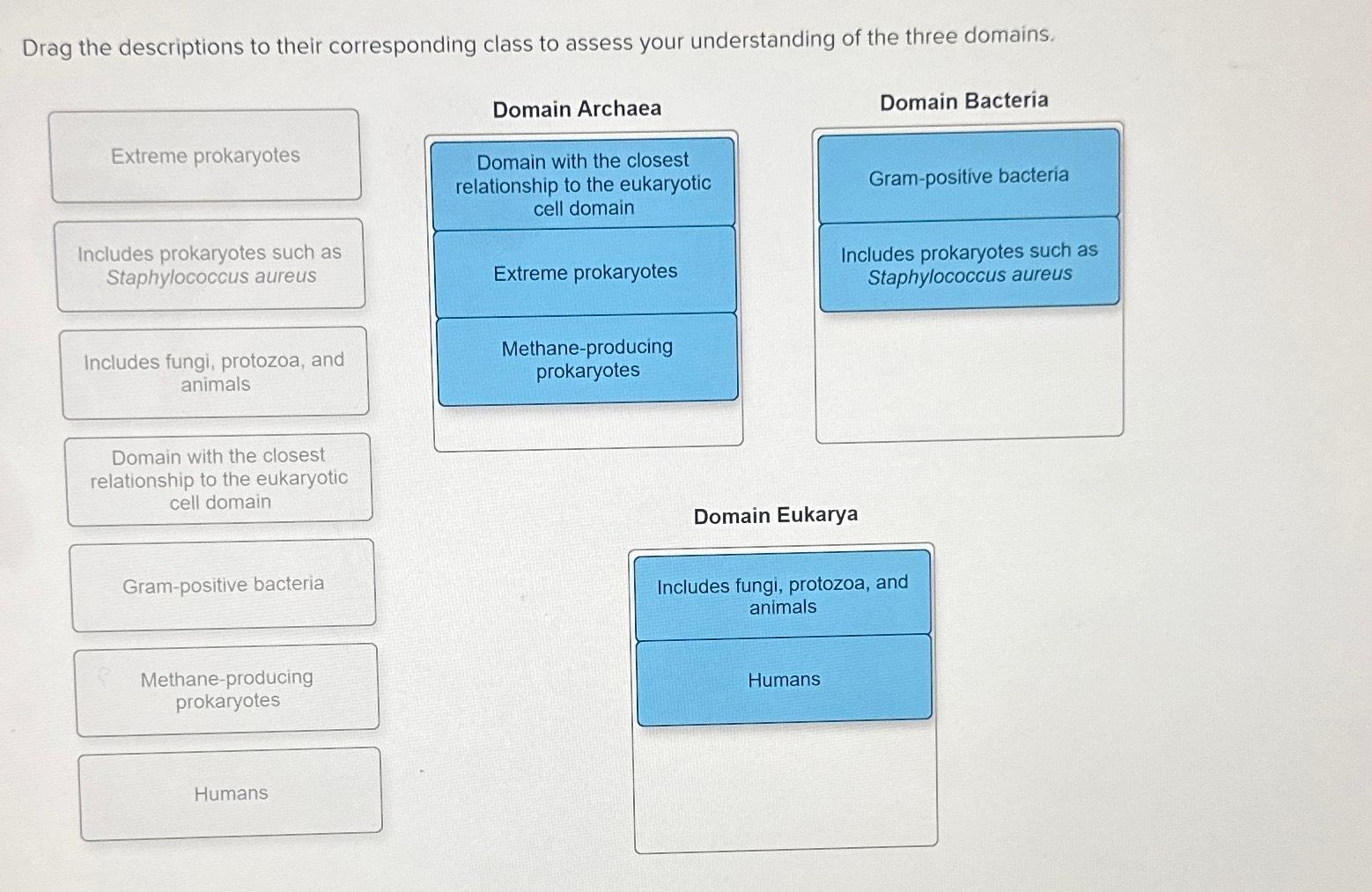 Solved Drag the descriptions to their corresponding class to