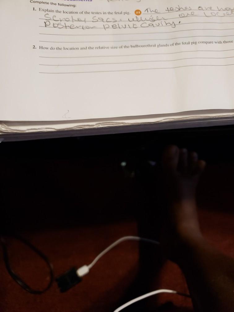 Solved Complete The Following 1 Explain The Location Of Chegg Com