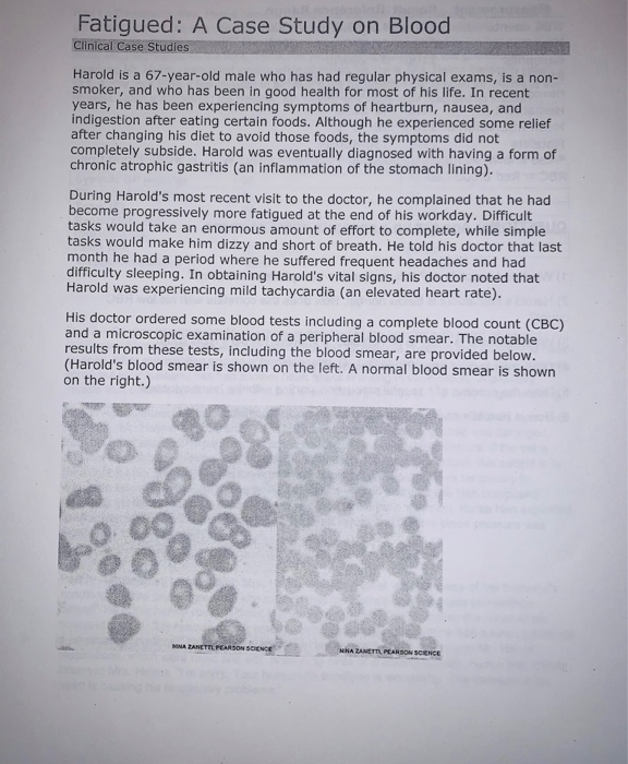 How is the expression of surface antigens on red blood cells determined? image