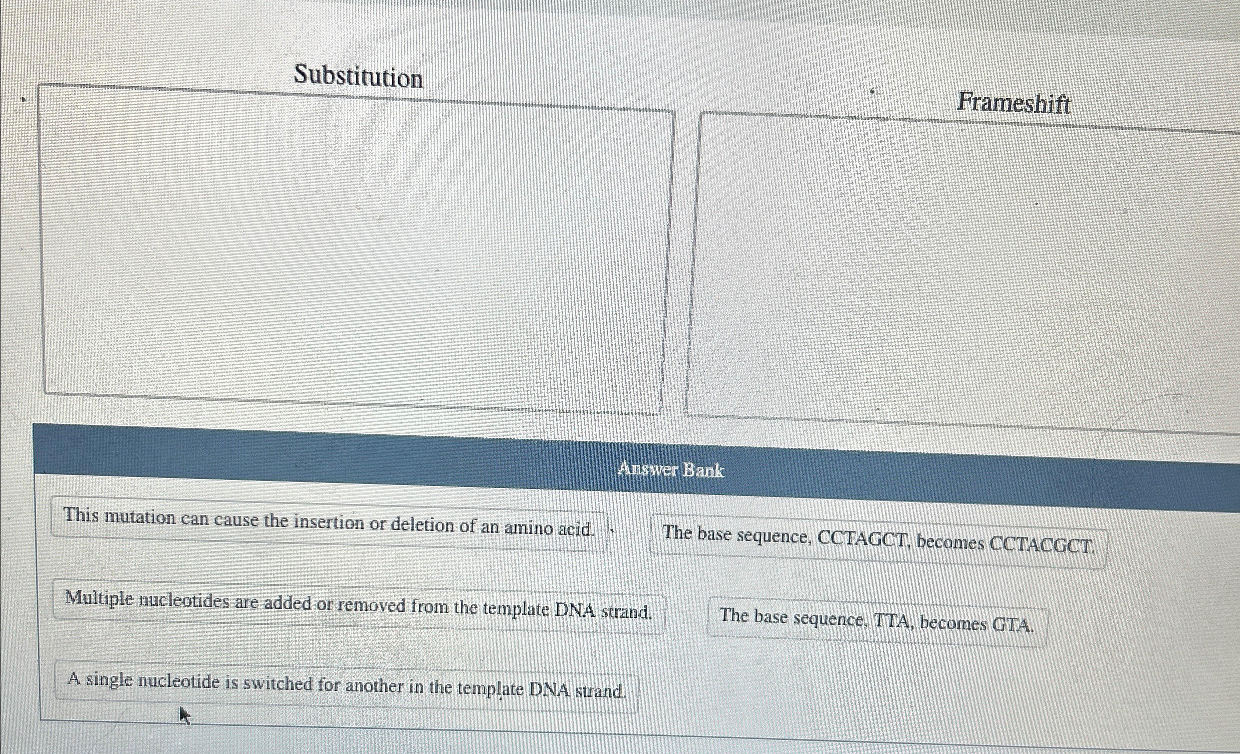 Solved SubstitutionFrameshiftAnswer BankThis mutation can | Chegg.com
